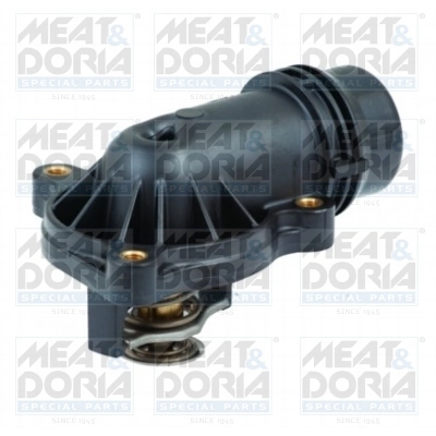 Thermostat, coolant